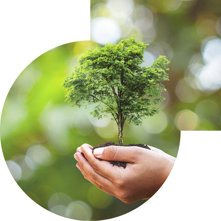 關懷人類、文化、環境與社會